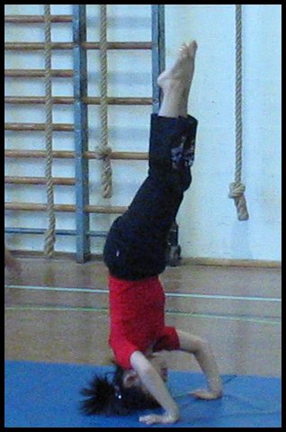 Gym 013.jpg